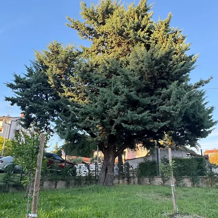 Pical Garden * ポレッチ