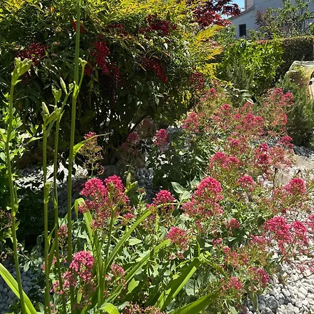 Pical Garden * Poreč